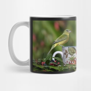 Painted Bunting Birds Mug